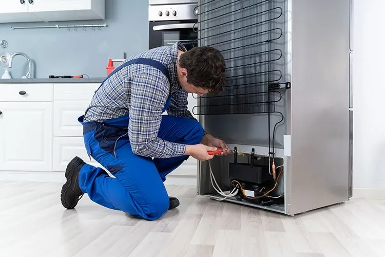 Expert-fridge-repair-services-in-Surrey-BC